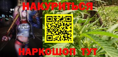 прущие грибы Вязьма