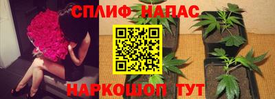 молекула духа Вязники
