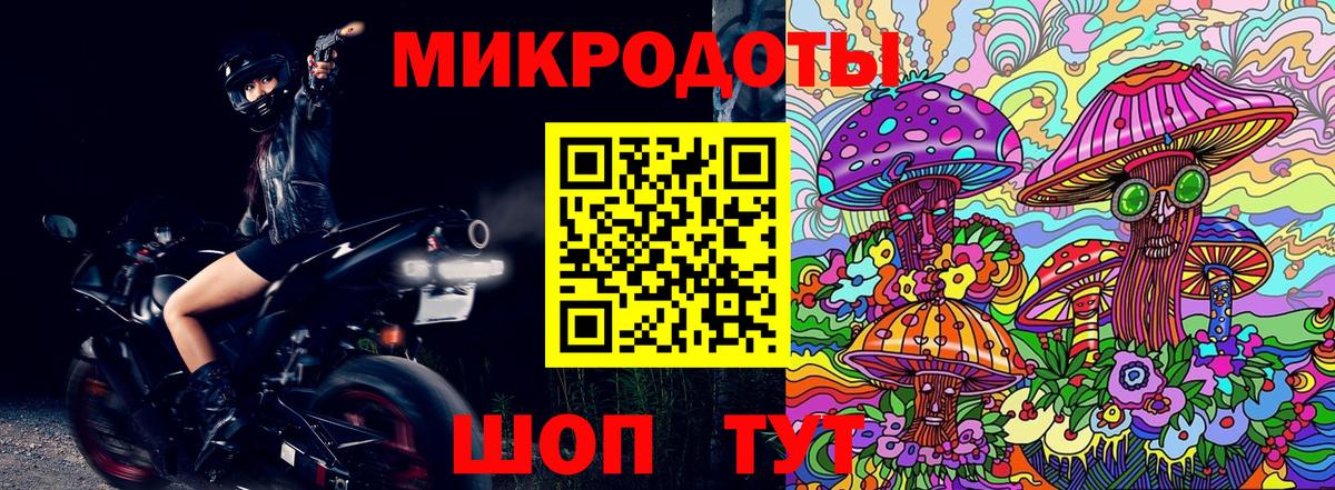 Отрадное  Псилоцибиновые грибы Cubensis  Вход с VPN 